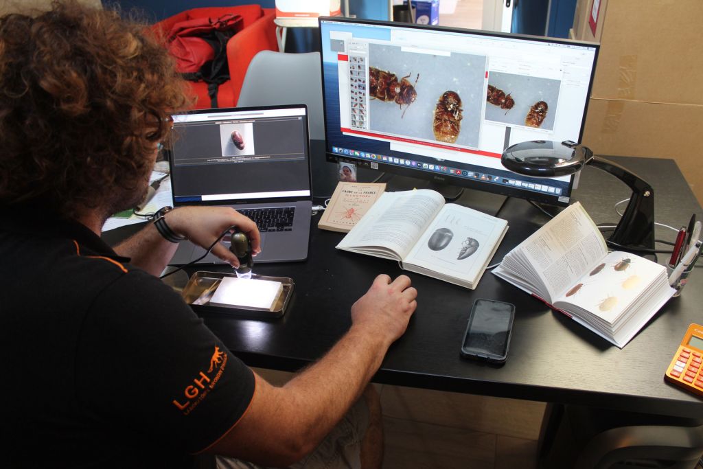 entreprise de