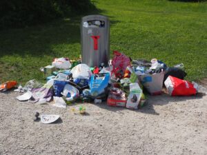 Les poubelles attirent les rats