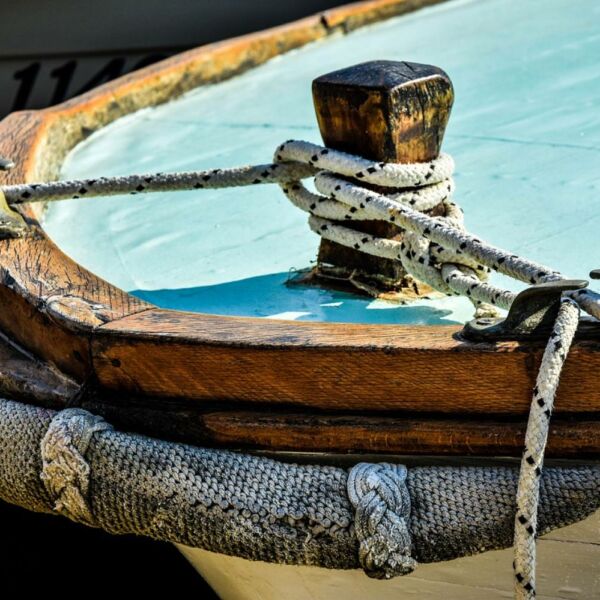 Les rats dans les bateaux