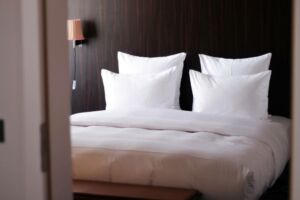 punaises de lit hôtel