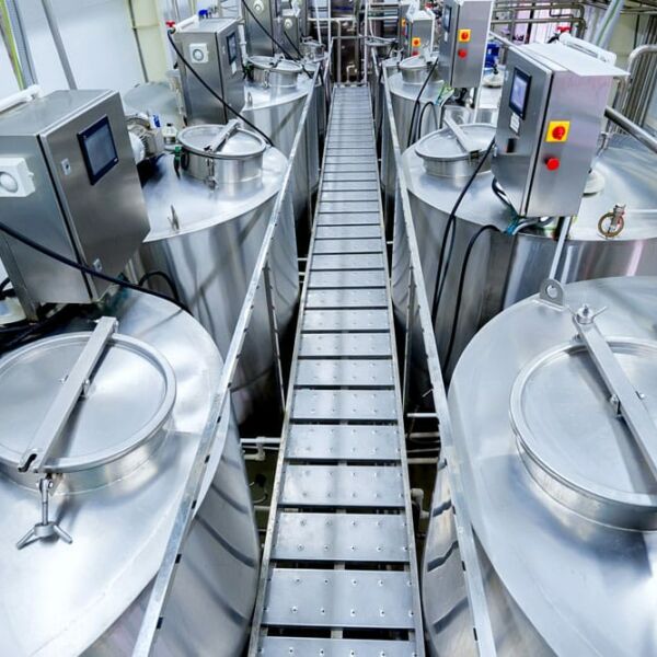 nuisibles site industriel