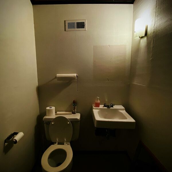 cafard dans les toilettes bordeaux