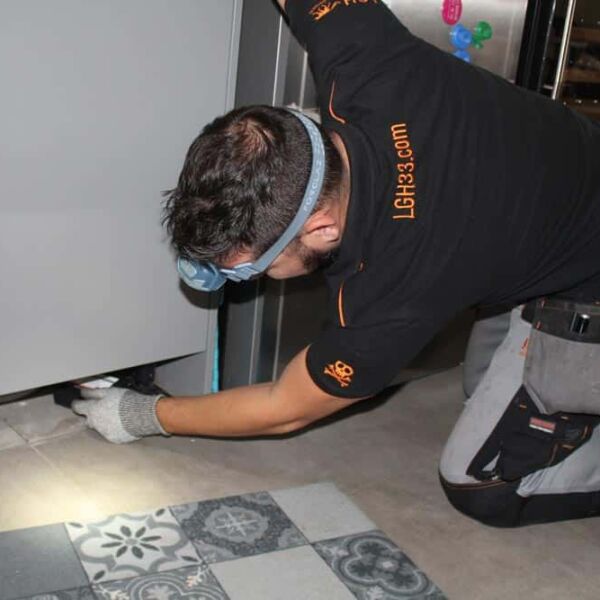 entreprise dératisation