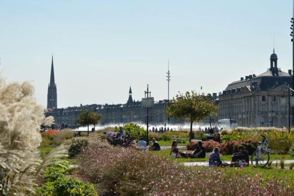 deratiseur bordeaux