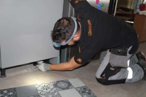 rats dans les parties communes bordeaux