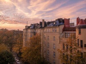 dératisation et désinsectisation bordeaux